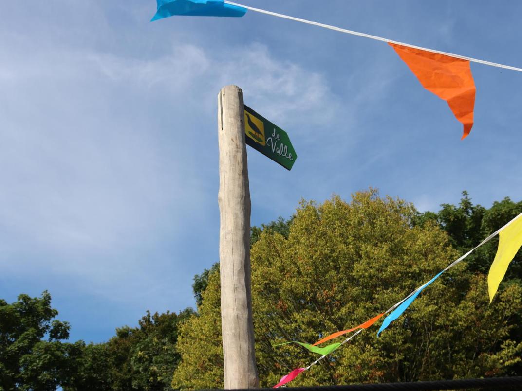 Vlag uit
