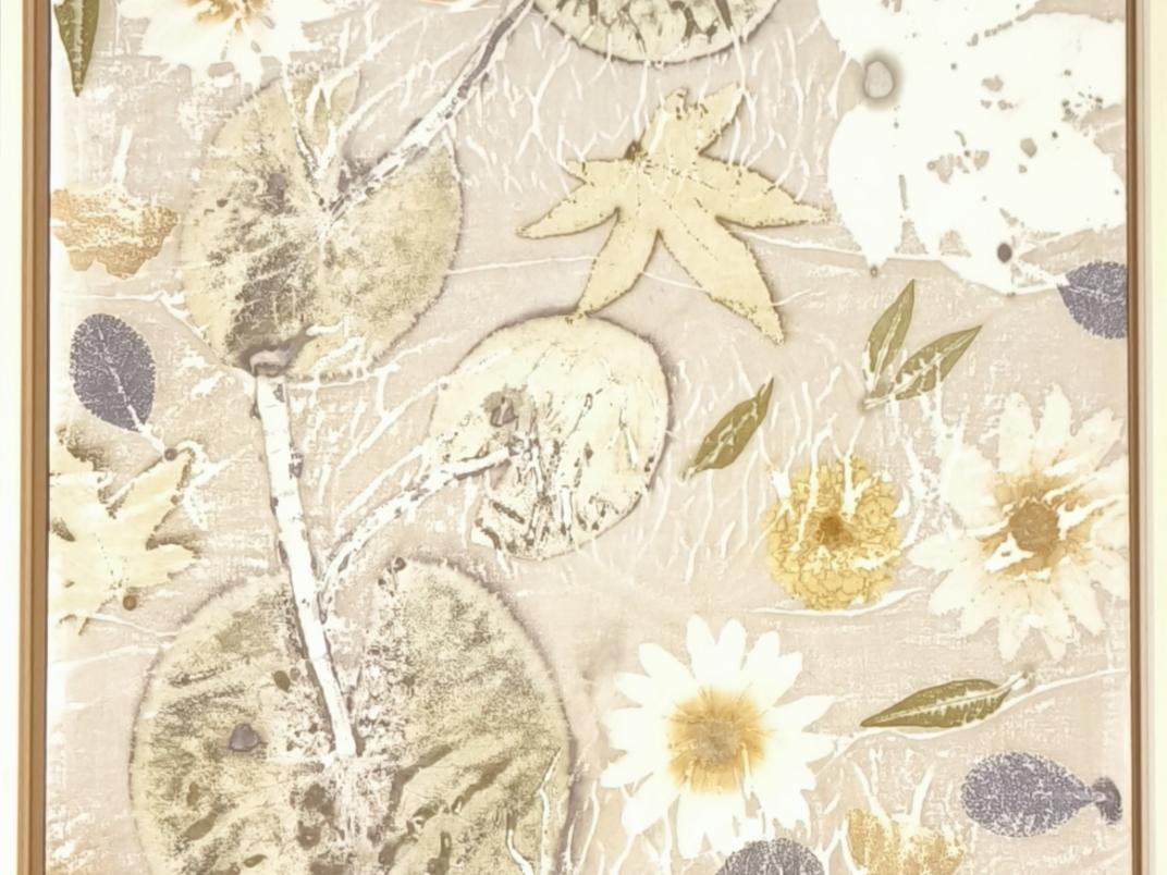 Bianca Plune, nummer 27