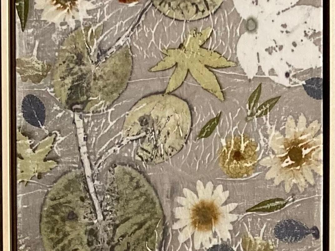 Bianca Plune, nummer 27