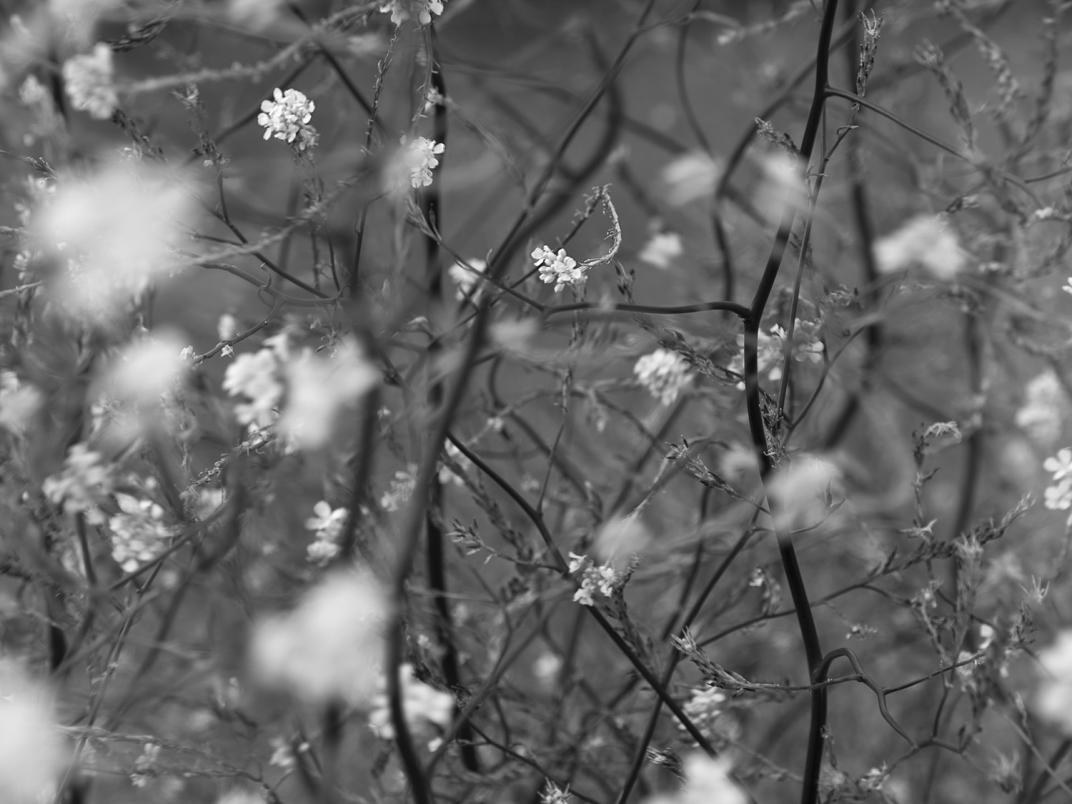 Mette Sinke, nummer 44